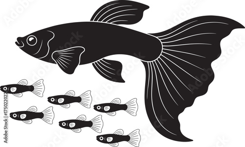 Illustration of a beautiful guppy fish with flowing fins swimming alongside a small group of guppies