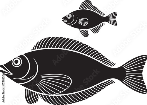 Tilapia fish vector design, big tilapia fish, small tilapia fish, black tilapia fish on isolated background