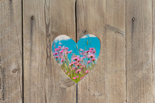 Wallpaper Mural heart shape at an old wooden toilet door Torontodigital.ca
