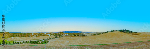 Wallpaper Mural typical scenic tuscan landscape with olive tree alleys and farm house Torontodigital.ca
