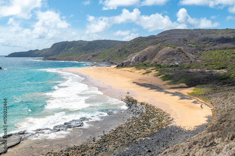custom made wallpaper toronto digitalFernando de Noronha, Brazil. View of beautiful empty sandy beach with plants in the foreground