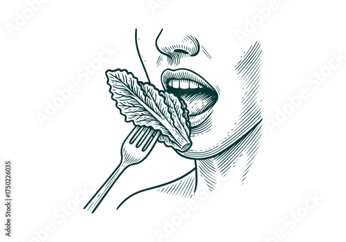 Romaine Lettuce hand drawn simple engraved vector illustration