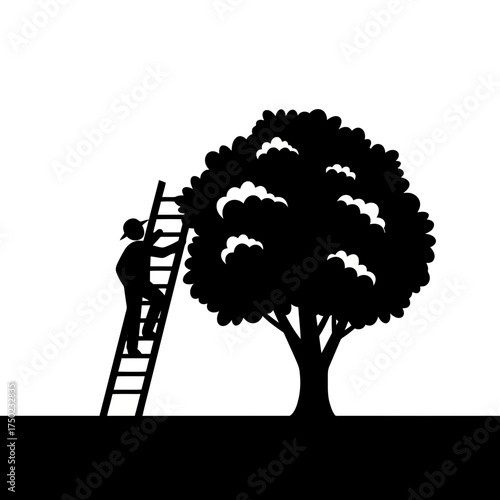 Silhouette of a person climbing a ladder to reach the top of a large tree, symbolizing growth, ambition, and achievement