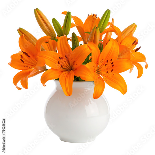 A lush bouquet of vibrant orange flowers, lilies, blooms brightly from a rounded, white ceramic vase. Some unopened buds are visible. The backdrop is transparent