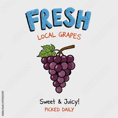Grape fruit artwork. Fresh food artwork for for t shirt. Nature fruit club print design. Summer food poster design. Always organic. Fresh grapes fruit print.