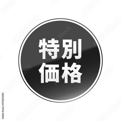 光沢のあるアイコン_特別価格_線囲み丸型_BLACK