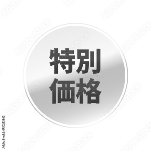 光沢のあるアイコン_特別価格_線囲み丸型_SILVER
