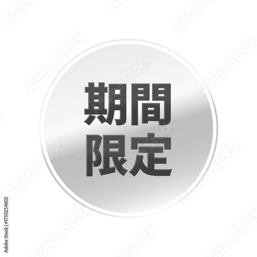 光沢のあるアイコン_期間限定_線囲み丸型_SILVER