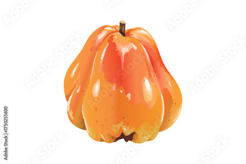 Bell Pepper Orange Red Isolated Vegetable Food Ingredient Vector