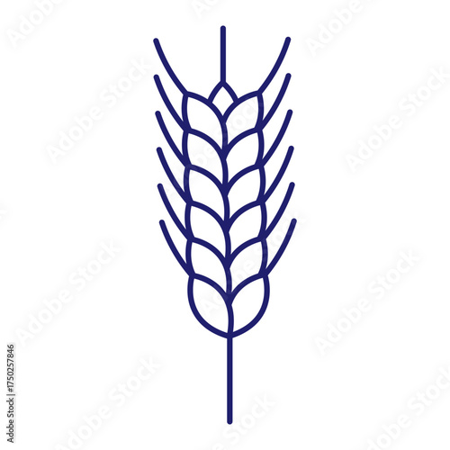 Cereals doodle illustration  icon - pearl millet, agriculture, wheat, barley, rice, maize, timothy grass, buckwheat, proso, sorghum. Thin line art about grain plants. Editable Stroke Wheat ear icon. l