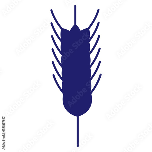 Cereals doodle illustration  icon - pearl millet, agriculture, wheat, barley, rice, maize, timothy grass, buckwheat, proso, sorghum. Thin line art about grain plants. Editable Stroke Wheat ear icon. l