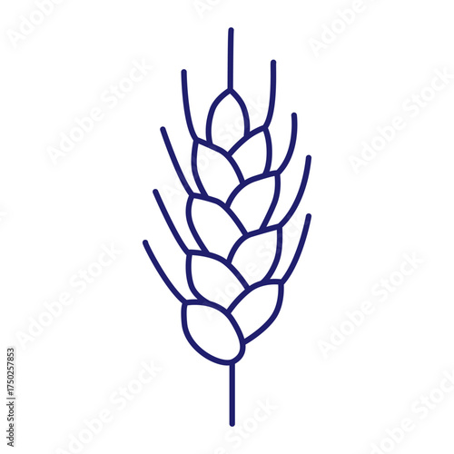Cereals doodle illustration  icon - pearl millet, agriculture, wheat, barley, rice, maize, timothy grass, buckwheat, proso, sorghum. Thin line art about grain plants. Editable Stroke Wheat ear icon. l
