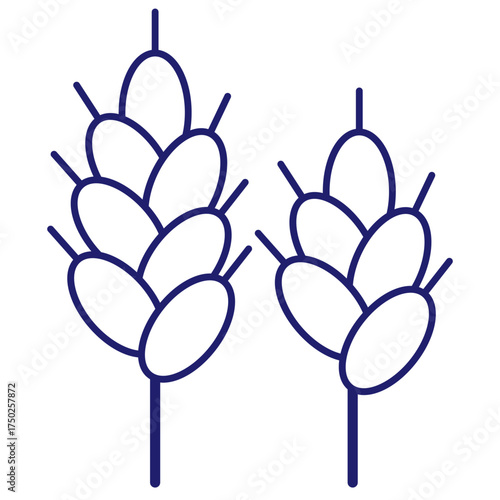Cereals doodle illustration  icon - pearl millet, agriculture, wheat, barley, rice, maize, timothy grass, buckwheat, proso, sorghum. Thin line art about grain plants. Editable Stroke Wheat ear icon. l