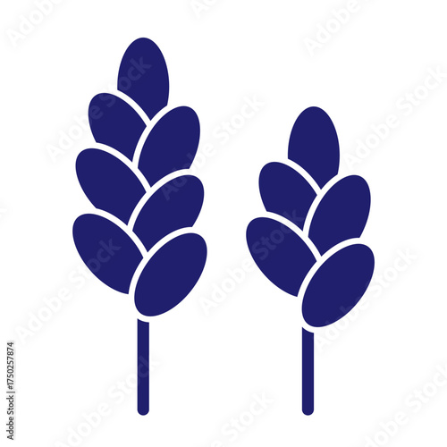 Cereals doodle illustration  icon - pearl millet, agriculture, wheat, barley, rice, maize, timothy grass, buckwheat, proso, sorghum. Thin line art about grain plants. Editable Stroke Wheat ear icon. l