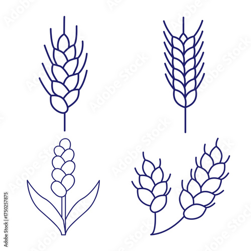 Cereals doodle illustration  icon - pearl millet, agriculture, wheat, barley, rice, maize, timothy grass, buckwheat, proso, sorghum. Thin line art about grain plants. Editable Stroke Wheat ear icon. l