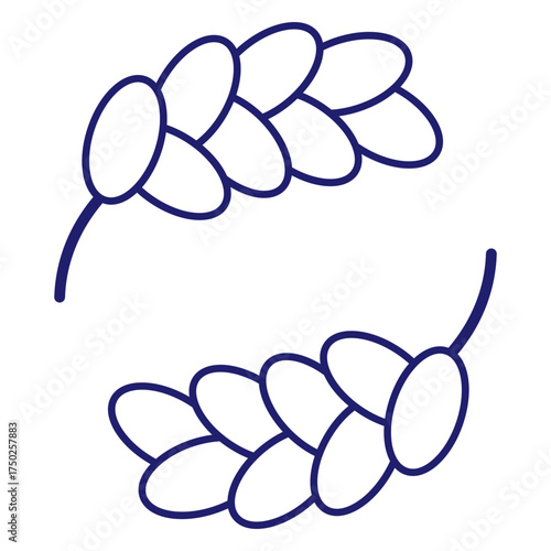 Cereals doodle illustration  icon - pearl millet, agriculture, wheat, barley, rice, maize, timothy grass, buckwheat, proso, sorghum. Thin line art about grain plants. Editable Stroke Wheat ear icon. l