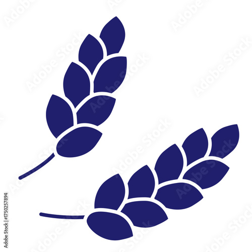 Cereals doodle illustration  icon - pearl millet, agriculture, wheat, barley, rice, maize, timothy grass, buckwheat, proso, sorghum. Thin line art about grain plants. Editable Stroke Wheat ear icon. l