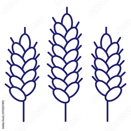 Cereals doodle illustration  icon - pearl millet, agriculture, wheat, barley, rice, maize, timothy grass, buckwheat, proso, sorghum. Thin line art about grain plants. Editable Stroke Wheat ear icon. l