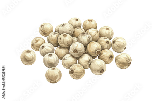 Pile of whole white pepper spice grains isolated on white background