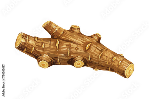Wood Root Piece Branch Natural Tree Trunk Object Illustration