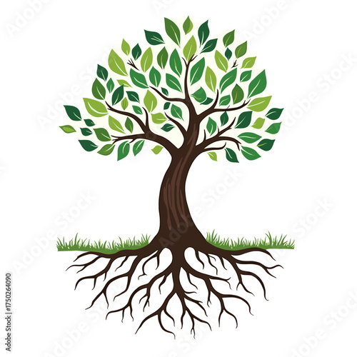 A stylized illustration of a vibrant green tree with a sturdy brown trunk and an extensive, visible root system spreading underground.