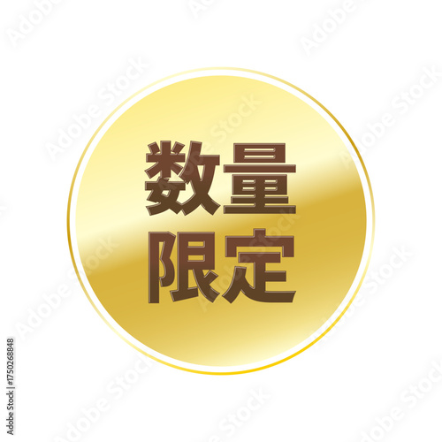 光沢のあるアイコン_数量限定_線囲み丸型_GOLD