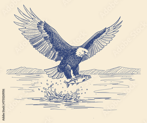 Hand drawn illustration of the majestic bald eagle soaring above the calm waters, capturing its prey with precision and power in flight.
