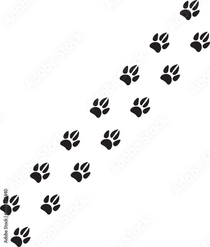 Trail of Mystery: A striking pattern of paw prints etched in the ground, hinting at a silent journey across the land. Explore the untamed beauty, capturing the unseen path 