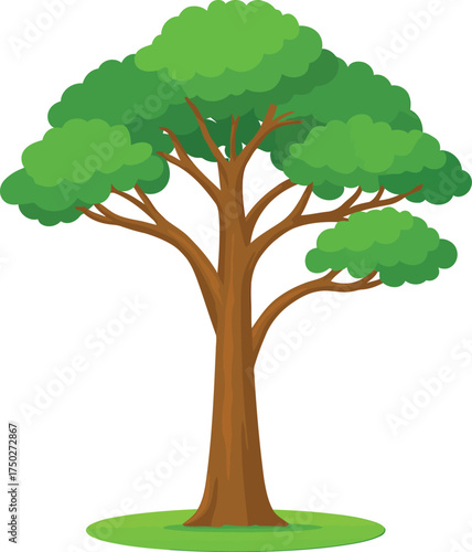 Cartoon Kapok Tree Vector Illustration