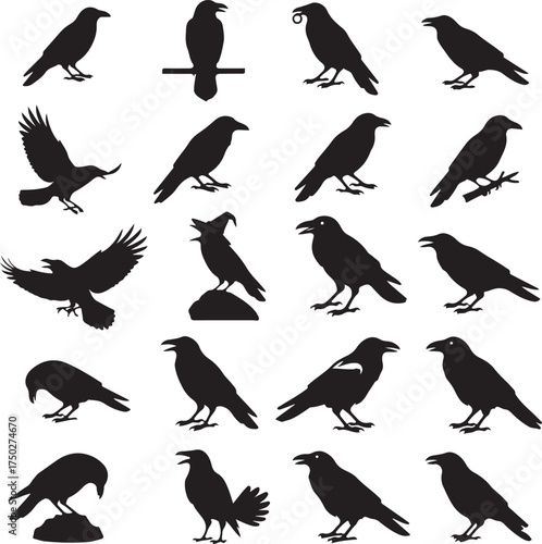 Raven Silhouette Collection: A versatile collection of raven silhouettes, depicting diverse poses, perfect for design projects. 