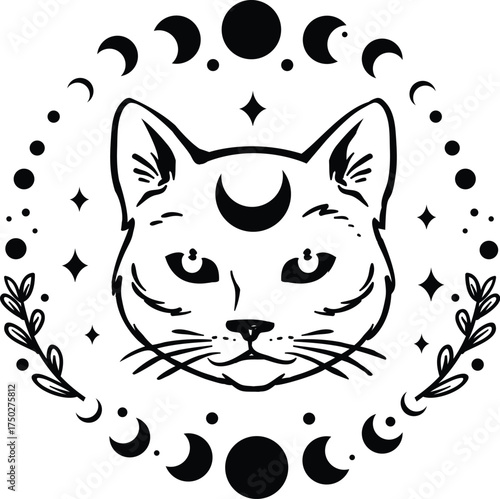 Black cat moon phases mystical art vector graphic