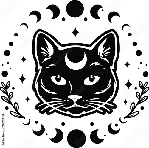 Black cat moon phases mystical art vector graphic