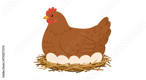 Brown hen sitting on nest with eggs a symbol of life and nature.