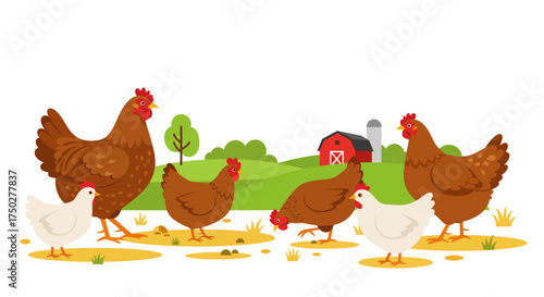 A group of brown and white domestic chickens.