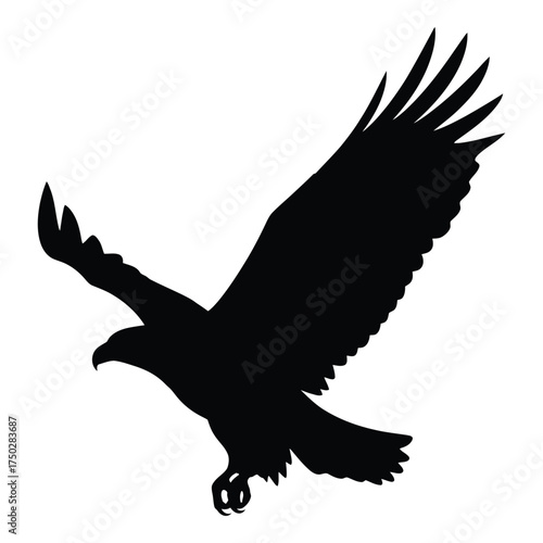 Majestic silhouette of a soaring eagle in flight majestic silhouette of a soaring eagle in flight symbolizing freedom and power silhouette