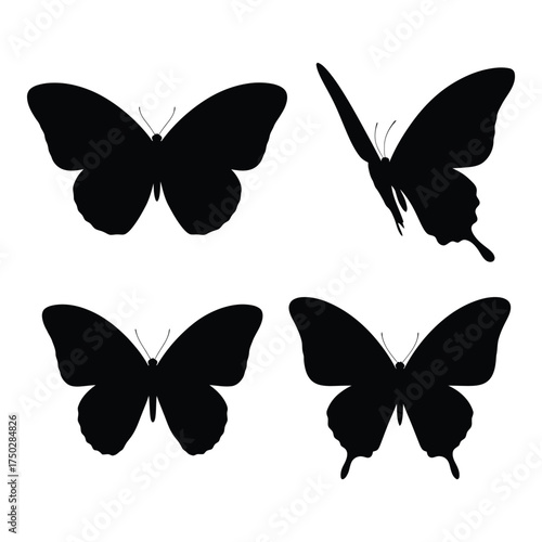 Four silhouetted butterflies displayed in diverse poses representing nature insect life and flight dynamics in dynamic arrangement silhouette