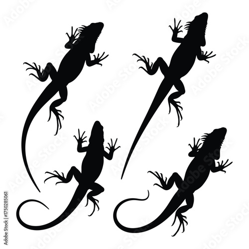 Four silhouetted lizards in various poses showing unique body shapes and tail curls ideal for wildlife art designs silhouette