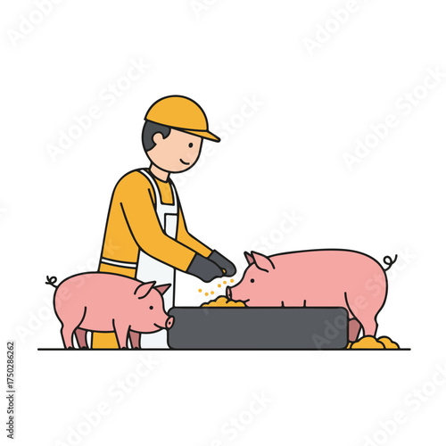 Farmer feeds pigs from trough, with one piglet beside them