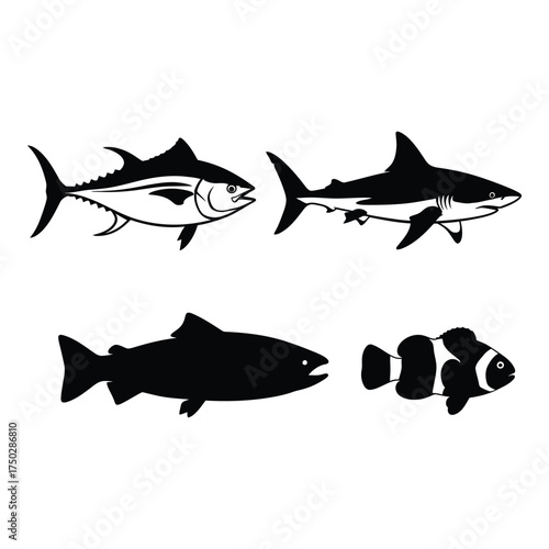 Diverse collection of aquatic life including tuna shark salmon and clownfish silhouettes for marine themes silhouette