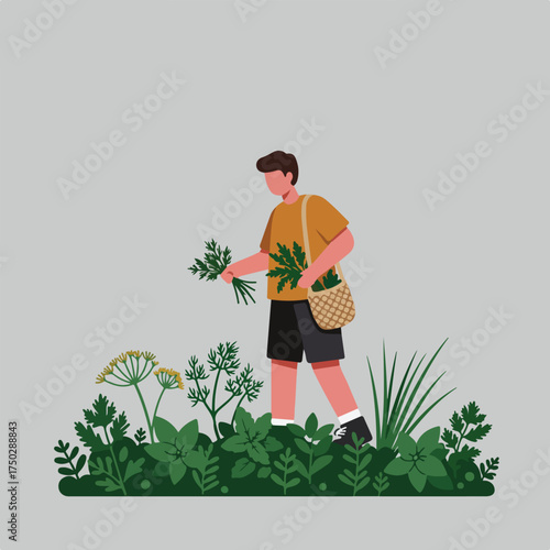 Person picking herbs with a basket in a garden