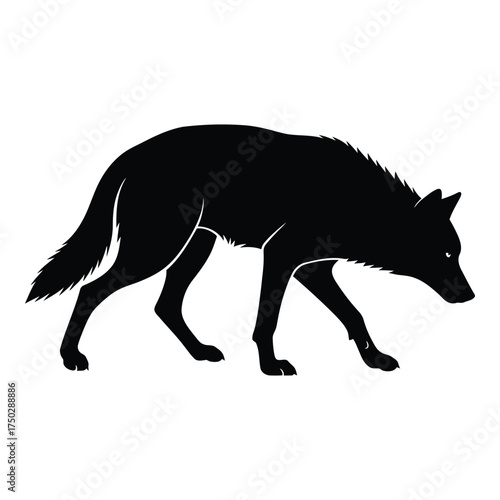 Silhouette of a wild coyote walking alertly in profile capturing its natural movement and primal essence silhouette