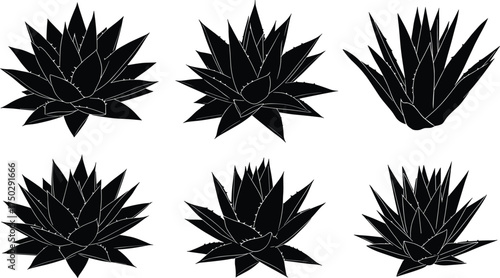 Agave plant silhouettes, desert tropical foliage collection, exotic spiky leaves design, black vector illustration, isolated botanical artwork, succulent landscape elements