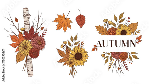 Autumnal Charm: A collection of botanical illustrations that embodies the essence of fall, featuring vibrant maple leaves, sunflowers, and decorative elements