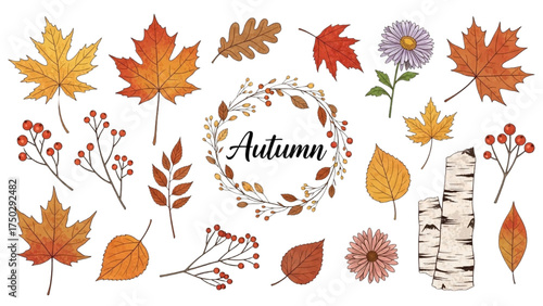 Autumn's Embrace: A colorful composition capturing the essence of autumn. Hand-drawn leaves, flowers and berries compose a natural frame, embodying warmth and inviting appeal.Autumn leaves vector back