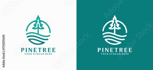 Pine tree logo. Vector illustration of a pine tree logo design with a river wave symbol.