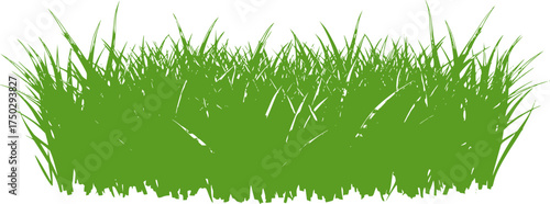 Lush green grass border vector art on transparent background for web and graphic design
