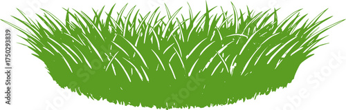 Lush green grass border vector art on transparent background for web and graphic design
