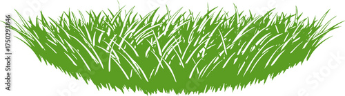 Lush green grass border vector art on transparent background for web and graphic design

