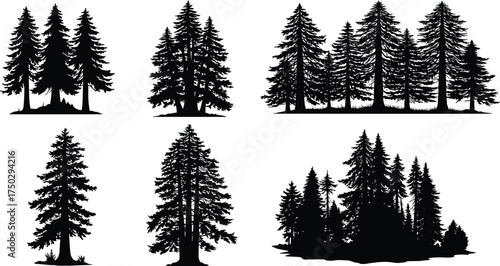 Conifer tree silhouette, evergreen pine forest vector, black woodland artwork, botanical shape design, nature graphic, landscape element, organic plant illustration