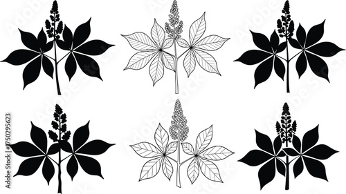 Flower spike plant silhouettes, compound leaf designs, black botanical outlines, isolated vector illustration, abstract foliage art, decorative natural elements, botanical icons